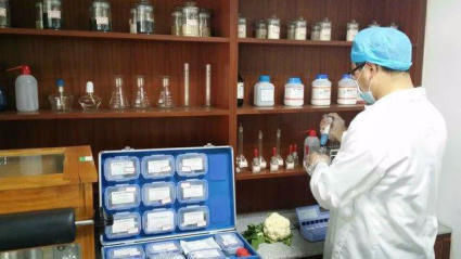 廣州農副產品批發市場 蔬菜配送服務助力酒店、學校與工廠需求