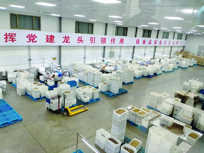 汾陽市多措并舉支持農副產品深加工，助推農業經濟提質增效