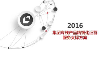 通信集團公司2016年專線產品精細化運營服務支撐方案